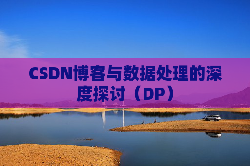 CSDN博客与数据处理的深度探讨（DP）